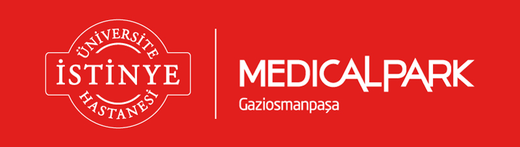 İstinye Üniversitesi logosu
